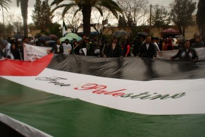 palestine marche 2015